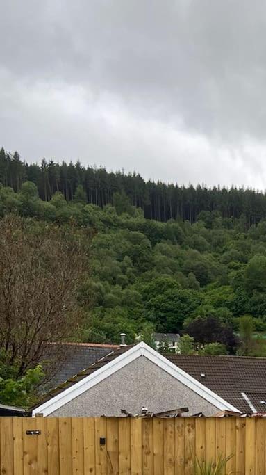 Brynhyfryd Cottage Aberaman Bagian luar foto
