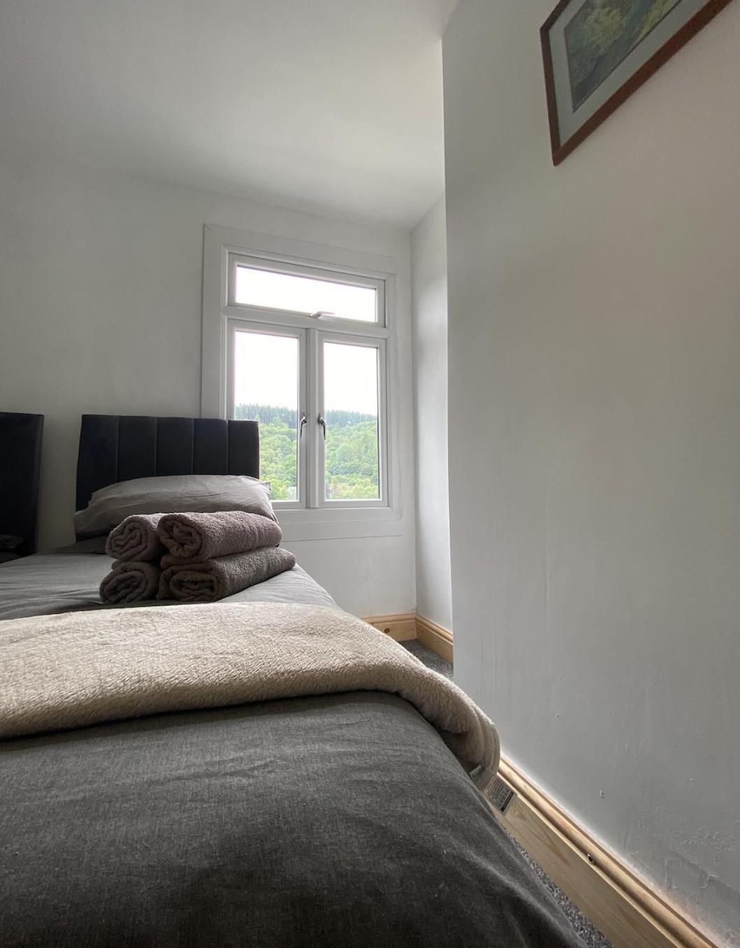 Brynhyfryd Cottage Aberaman Bagian luar foto